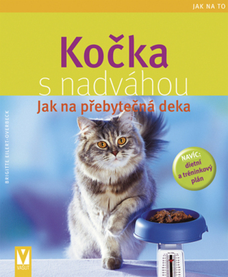 Pisică supraponderală