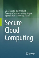 Cloud computing securizat
