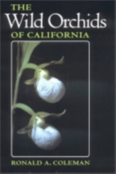Orhideele sălbatice din California