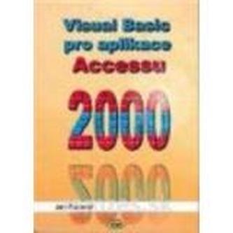 Visual Basic pentru Access 2000