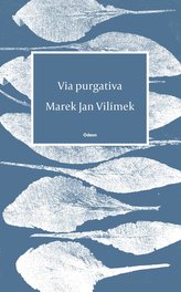 Via purgativa