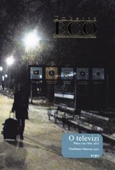 Despre televiziune