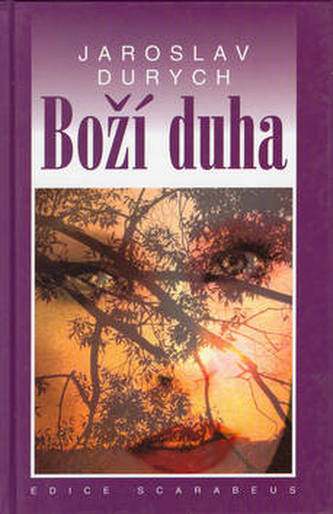 Arca divină