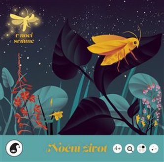 Viața de noapte