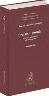 Raport de muncă. Dispoziții selectate din codul muncii. Comentariu