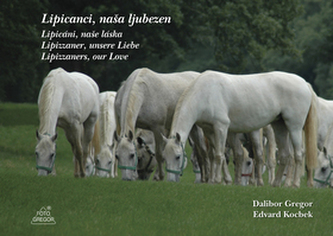 Lipicáni, naše láska