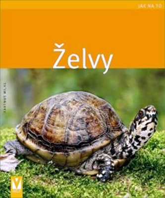 Țestoase