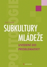 Subculturi ale tineretului