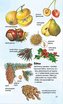 Ghid de natură de buzunar