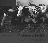 Lirica grajdului
