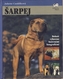 Shar Pei