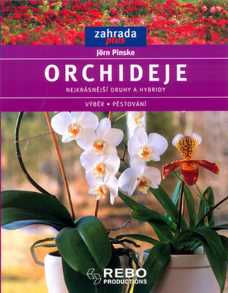 Orhidee
