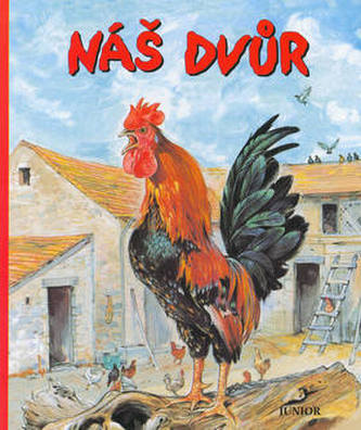 Curtea noastră