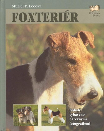 Foxterier