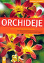 Orhidee