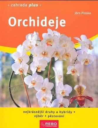 Orhidee