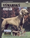 Weimaraner