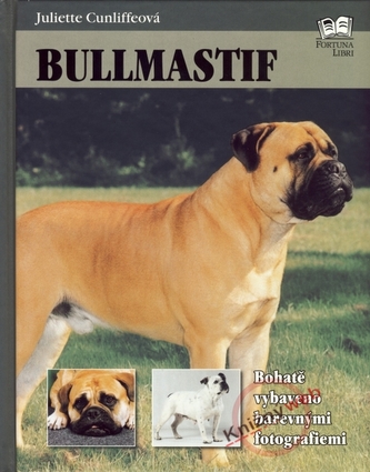 Bullmastiff
