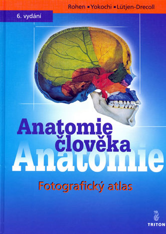 Anatomia omului