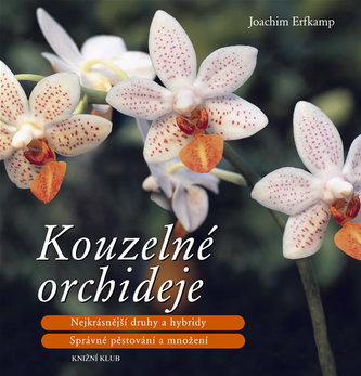 Orhidee fermecate