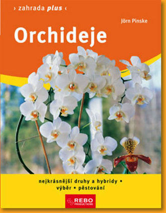 Orhidee - Grădina plus