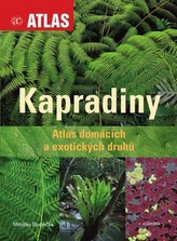 Kapradiny