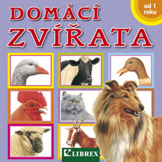 Animale domestice