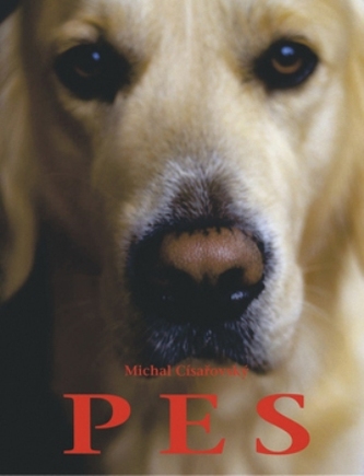 Câine