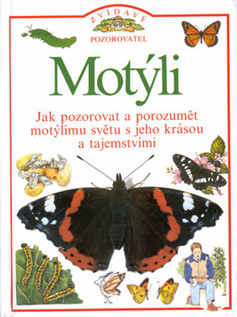 Fluturi