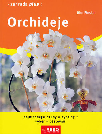 Orhidee