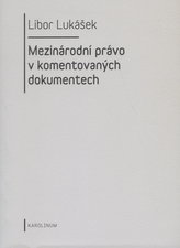 Drept internațional în documente comentate